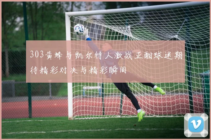 303黄蜂与凯尔特人激战正酣球迷期待精彩对决与精彩瞬间