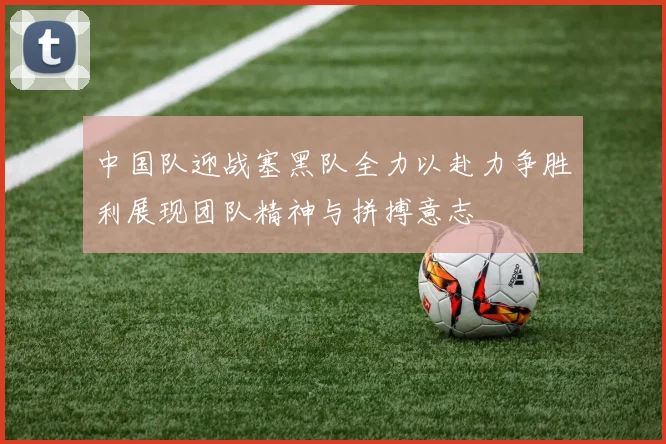 中国队迎战塞黑队全力以赴力争胜利展现团队精神与拼搏意志