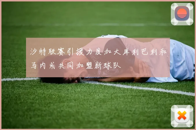 沙特联赛引援力度加大库利巴利和马内或共同加盟新球队