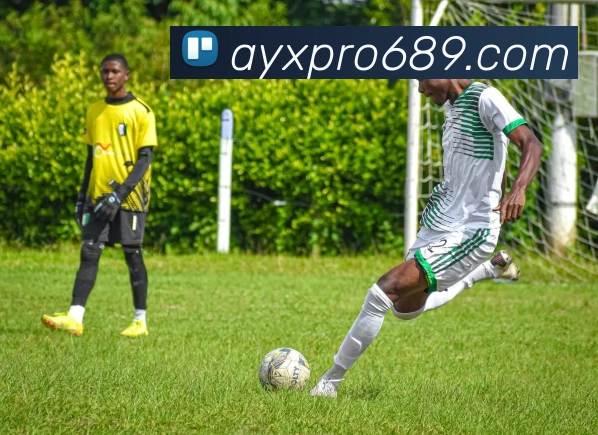 爱游戏体育平台生态图